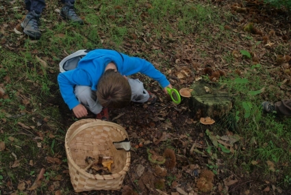 Comillas forestal (10)