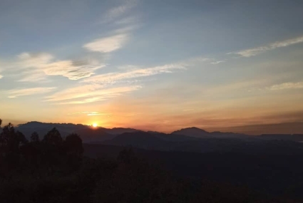 Comillas forestal (6)