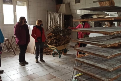 ruta orquideas en campoo cantabria