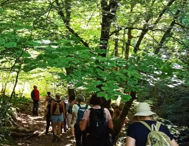 Excursión A Bárcena Mayor Y Senderismo En Pn Saja Besaya (1) cantabria