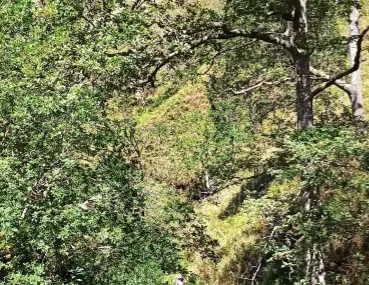 Excursión A Bárcena Mayor Y Senderismo En Pn Saja Besaya (3) cantabria