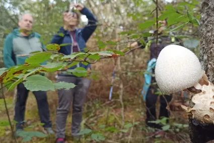 Gastroexperiencia Micológica (3) cantabria