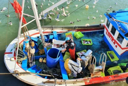 Barco Gaviera, Comillas.
Foto: Sergio Mtnz de Cestafe