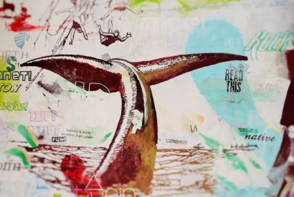 Ballena Logan cantabria