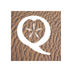 Geoparque Costa Quebrada 320 cantabria