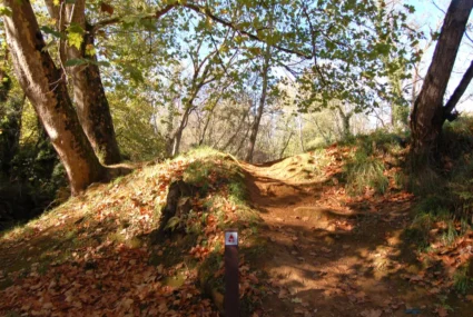 Señales Paneles Y Señalizacion De Rutas (1) 