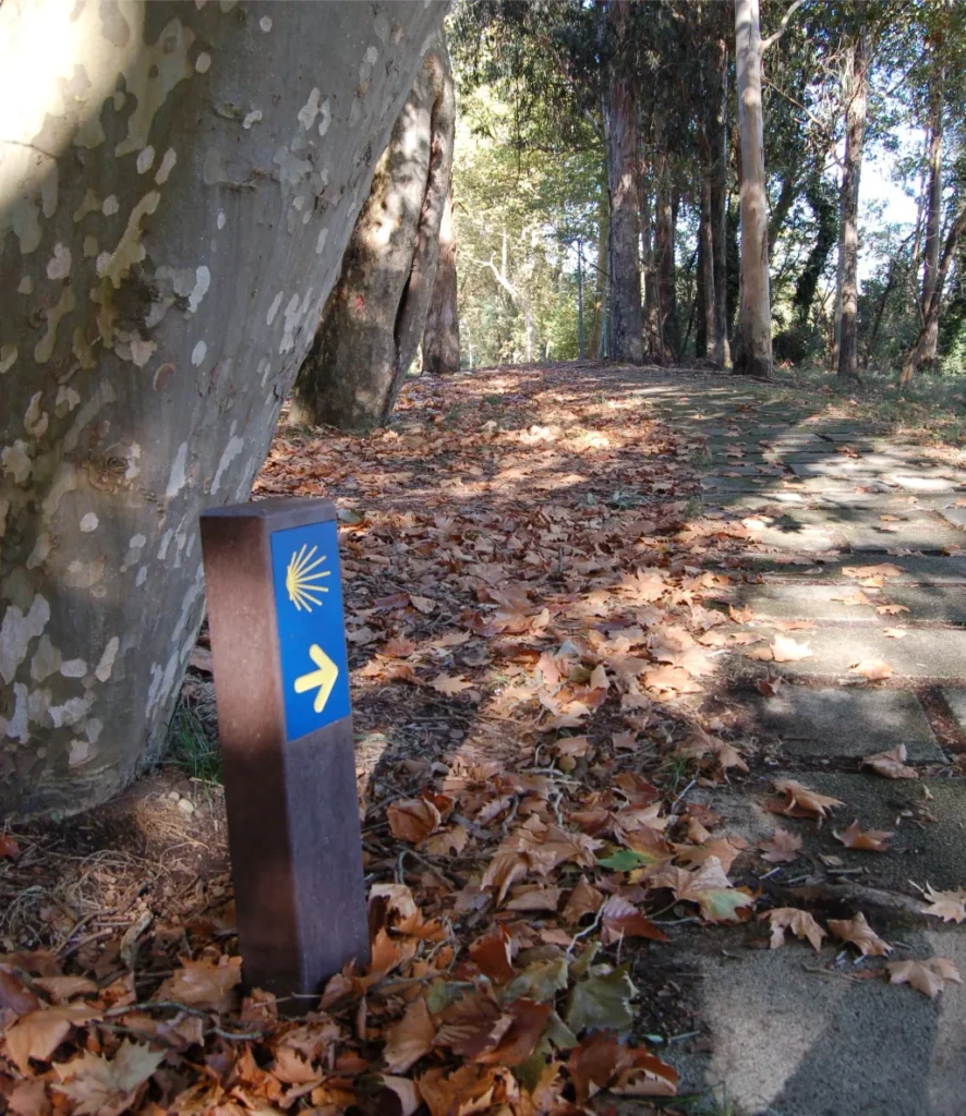 Señales Paneles Y Señalizacion De Rutas (4)