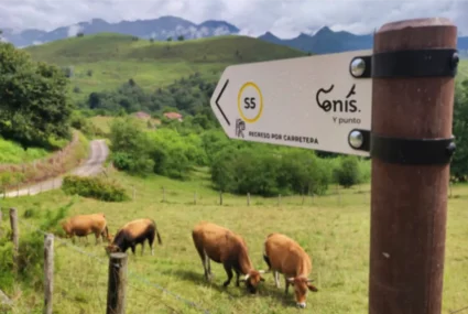 Paneles informativos turísticos 9 Señalizacion Placas Y Paneles Informativos Para Rutas Y Destinos (12)