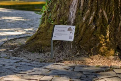 Paneles informativos turísticos 13 Señalizacion Placas Y Paneles Informativos Para Rutas Y Destinos (18)