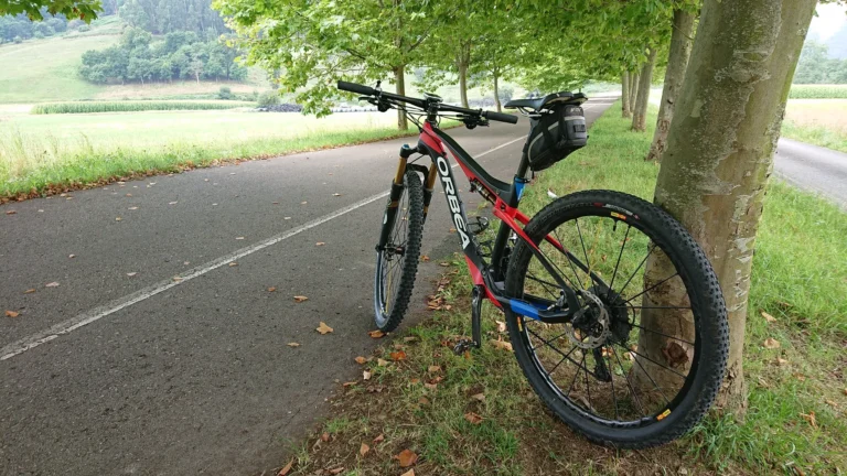 Vías Verdes en Cantabria: rutas en bici por la antigua red ferroviaria 2 Vía Verde Del Pas
