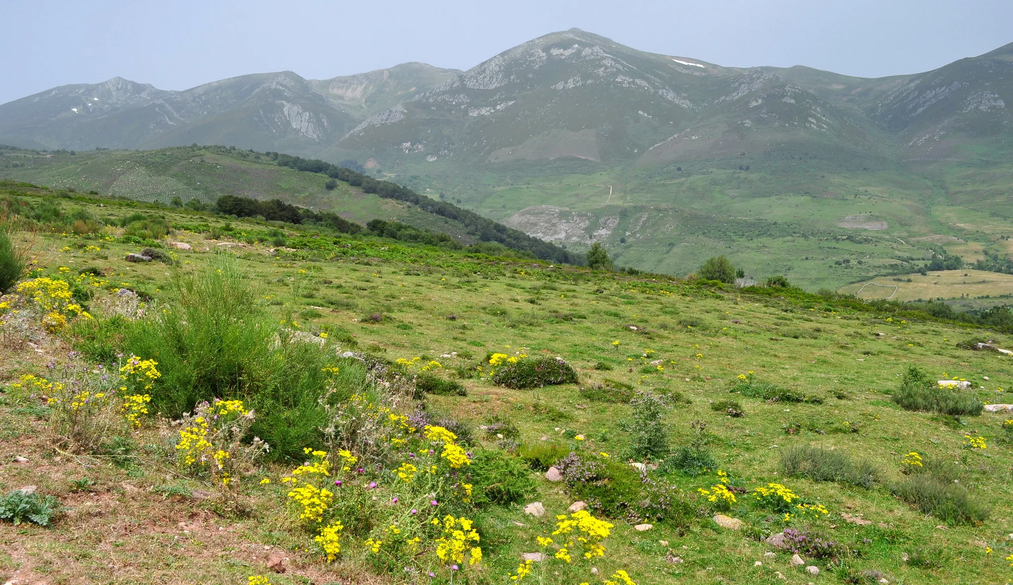 Valle de Campoo en bici: qué esperar si vas por primera vez 1 En Bici Por Campoo Rutas Cantabria